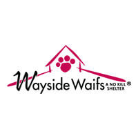 Wayside Waifs